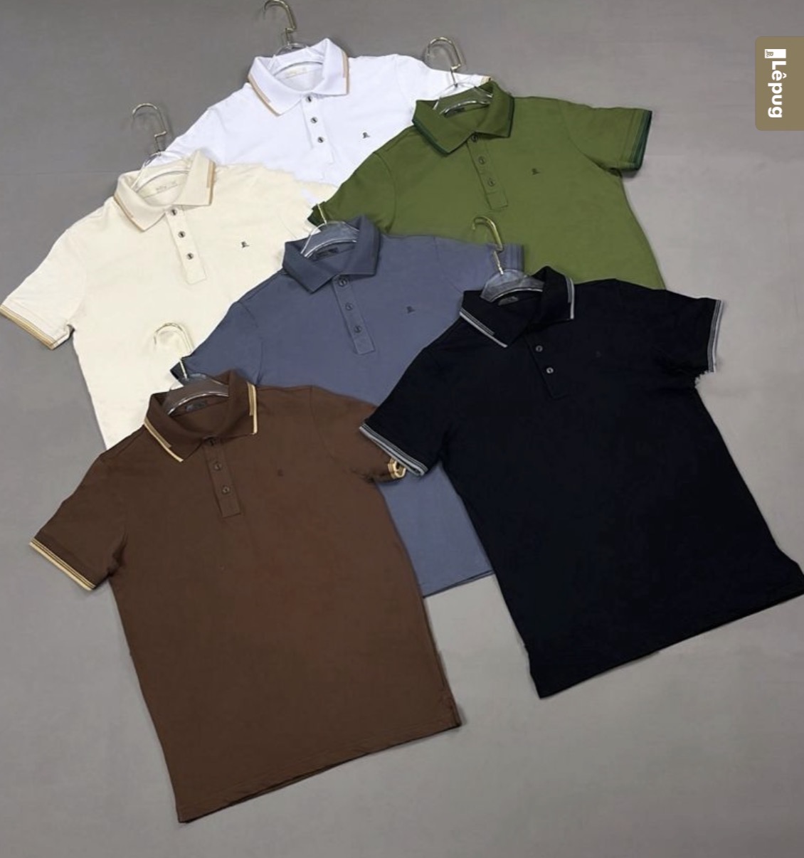 Gola polo tradicional - original